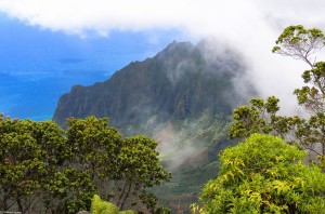 Wild Kauai 3 of 3 - Hawaiian Islands 